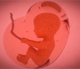 给婴幼儿嘉兴捐卵宝宝添加辅食应避免“四大罪过”